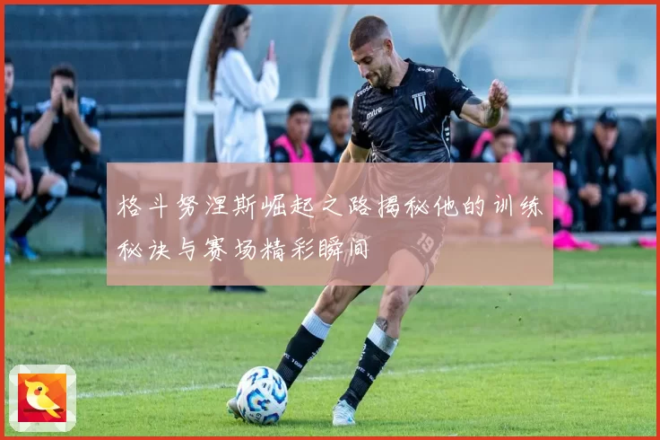 格斗努涅斯崛起之路揭秘他的训练秘诀与赛场精彩瞬间