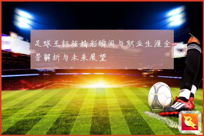 足球王钰栋精彩瞬间与职业生涯全景解析与未来展望