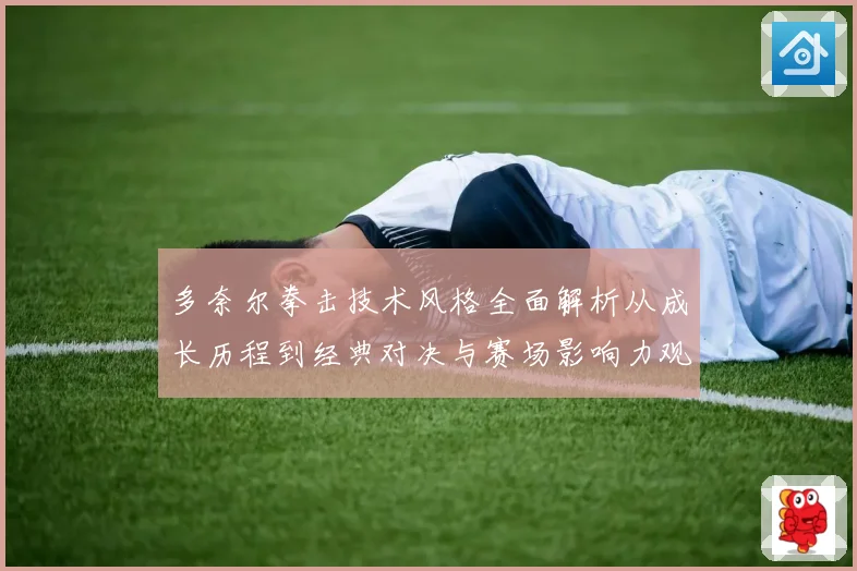 多奈尔拳击技术风格全面解析从成长历程到经典对决与赛场影响力观察
