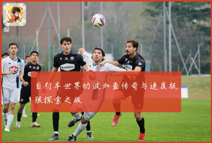 自行车世界的波加查传奇与速度极限探索之旅