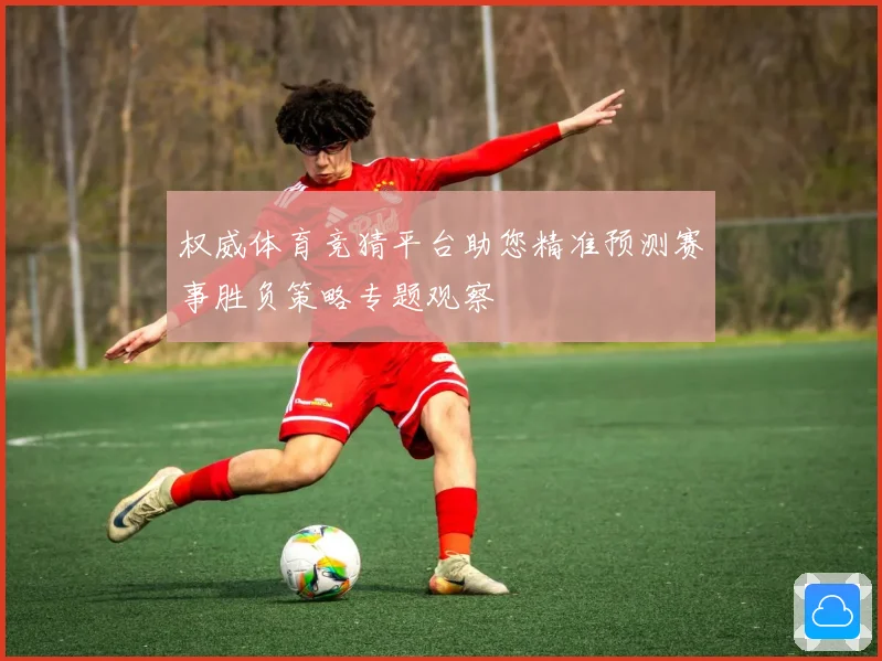 权威体育竞猜平台助您精准预测赛事胜负策略专题观察