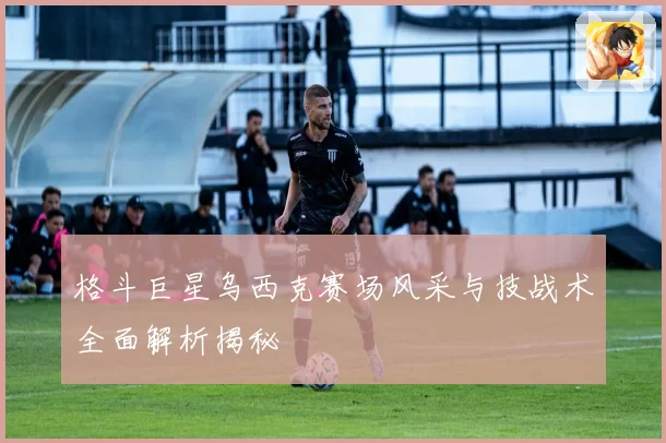 格斗巨星乌西克赛场风采与技战术全面解析揭秘