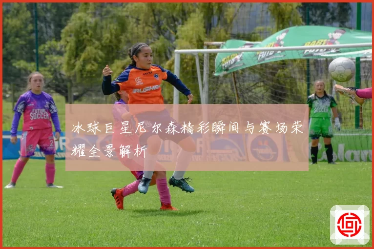 冰球巨星尼尔森精彩瞬间与赛场荣耀全景解析