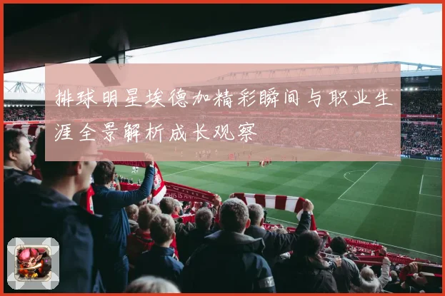排球明星埃德加精彩瞬间与职业生涯全景解析成长观察