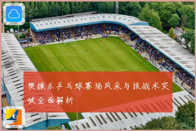 樊振东乒乓球赛场风采与技战术突破全面解析